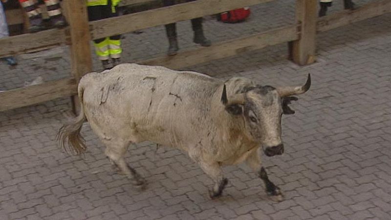 Un toro descolgado, "Rayosol," protagoniza el quinto encierro de San Fermín 2013