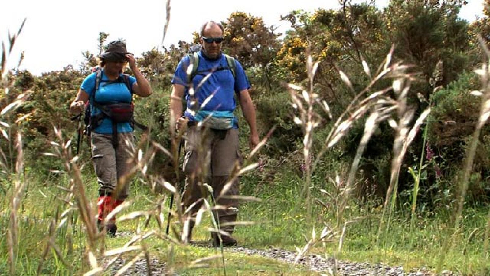 Comando al sol - Hasta el fin del mundo - Camino de Finisterre
