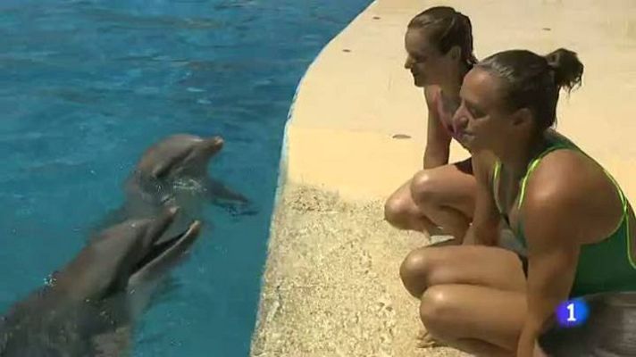 Telediario 1 - El equipo de waterpolo femenino, entre delfines