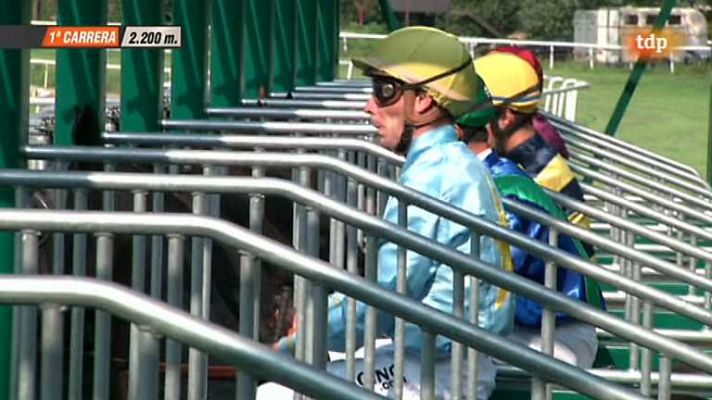 Turf - Turf - 15/07/13