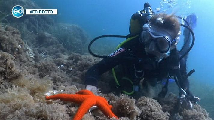 España Directo - España Directo- España Directo se sumerge en las profundidades marinas