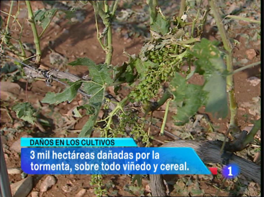 Informativo Telerioja - Informativo Telerioja - 18/07/13