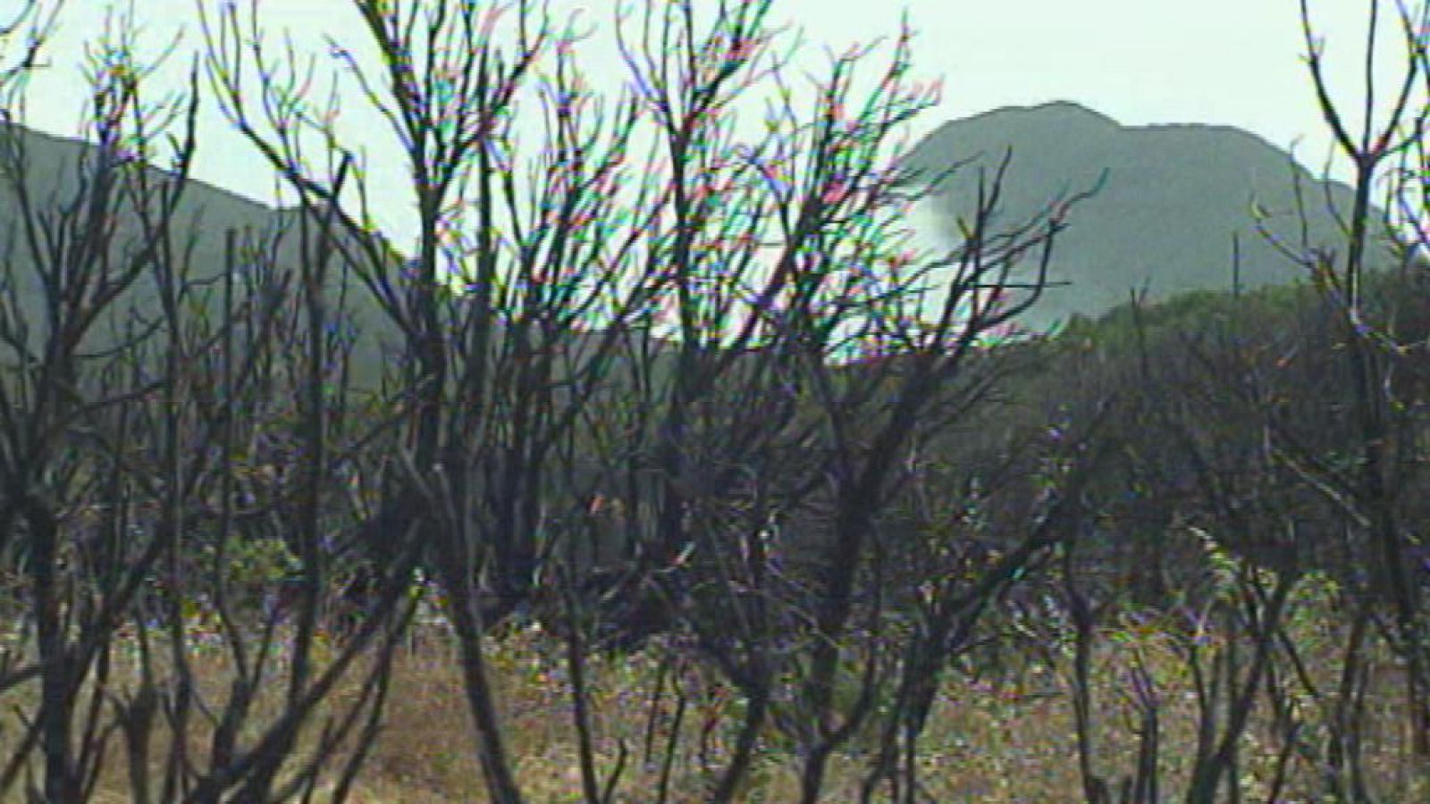 + Canarias - 18/07/13 - +Canarias | Ver