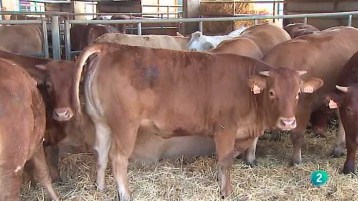 Agrosfera - Agrosfera - 20/07/13