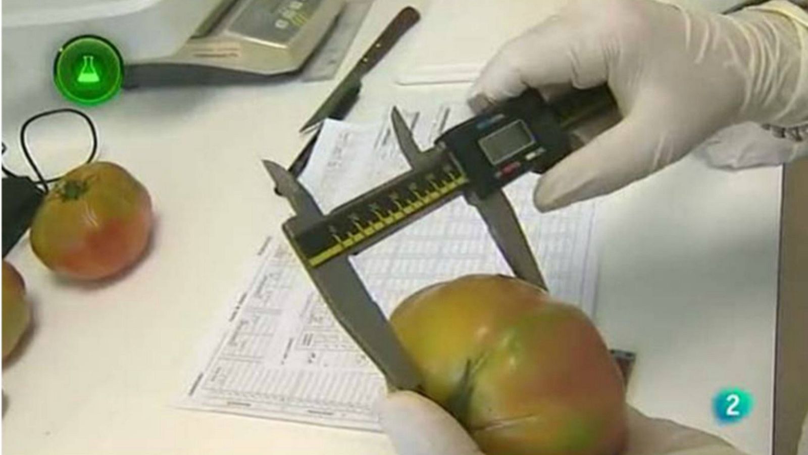 Agrosfera - Con mucho gusto - Tomate Rosa