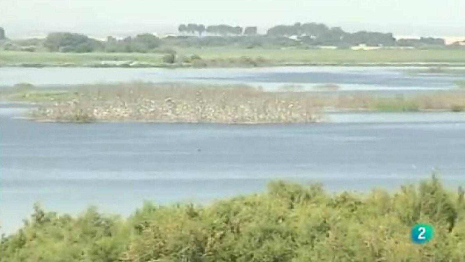 Agrosfera - En clave rural - Tablas de Daimiel