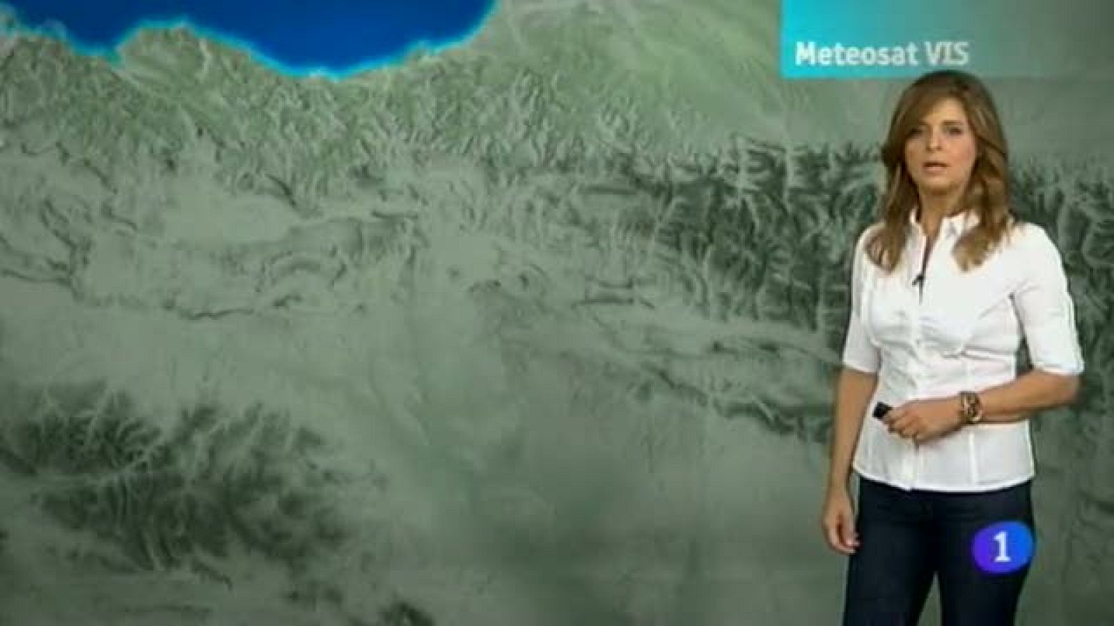 El Tiempo en la Comunidad de Navarra - 22/07/2013 | Ver