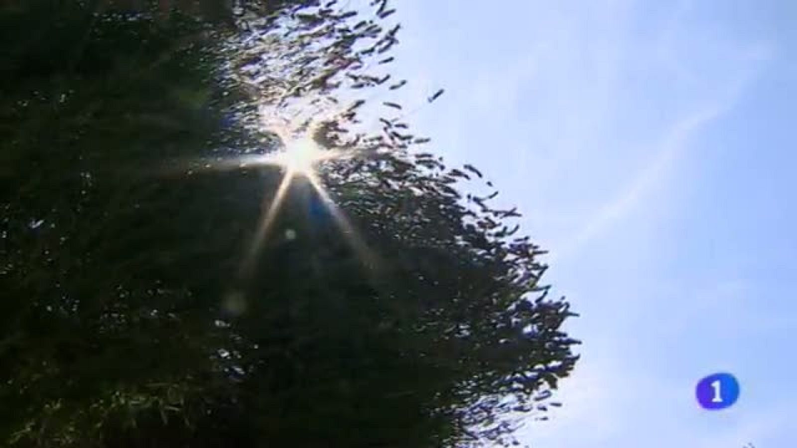 Telenavarra 2 - 22/07/2013 | Ver