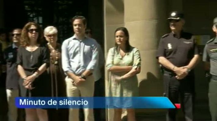 Telenavarra - Telenavarra 2 - 25/07/2013