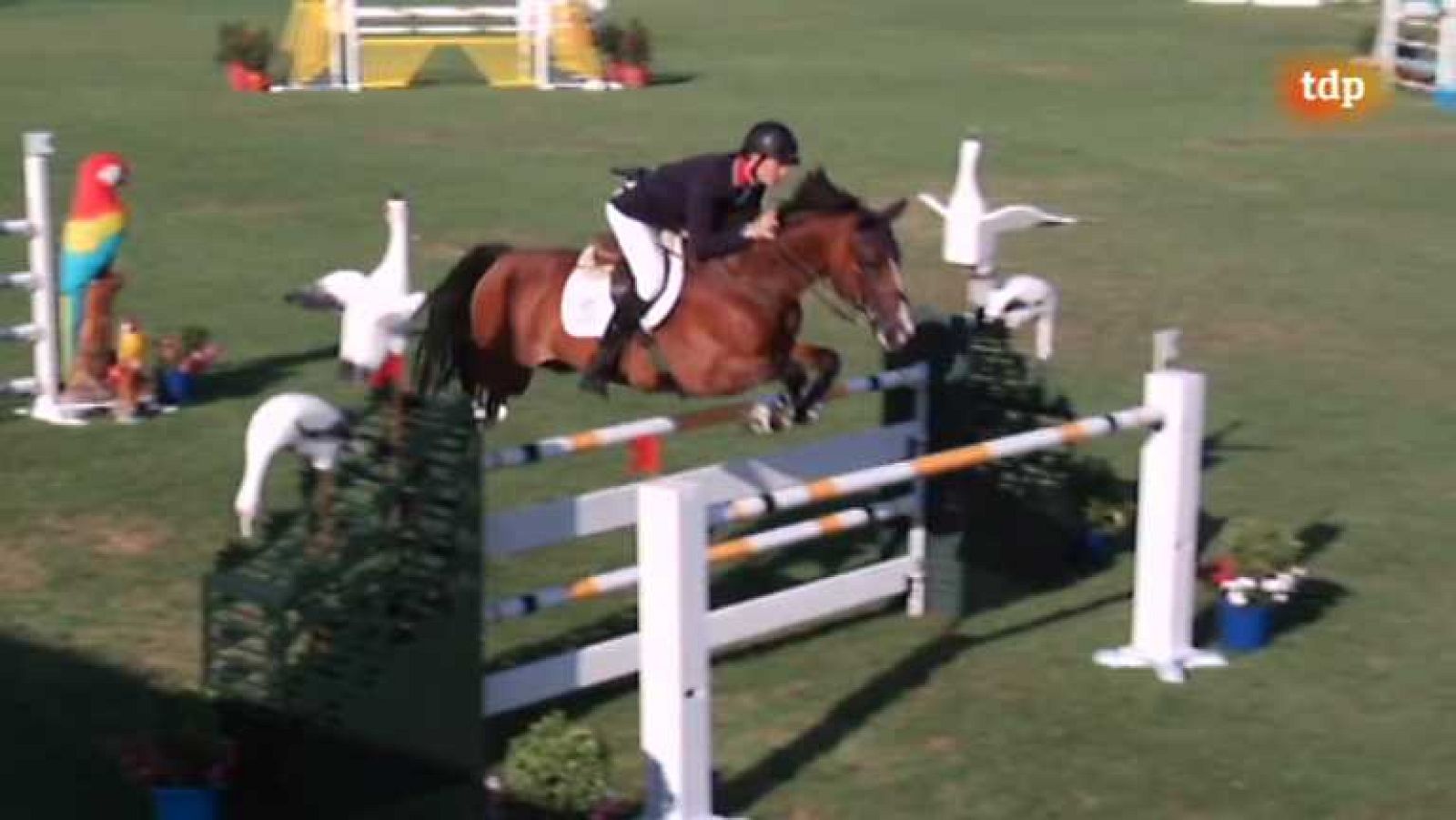 Hípica - Campeonato de Europa de saltos Jóvenes Jinetes - ver ahora