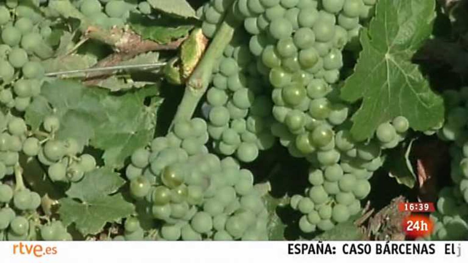 España en 24 horas - 30/07/13 - Ver ahora