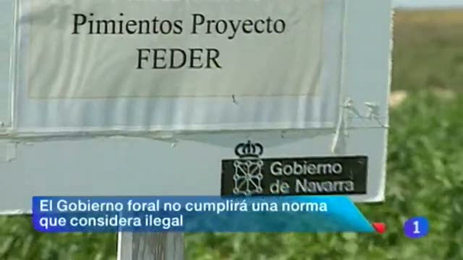 Telenavarra 2 - 31/07/2013 | Ver