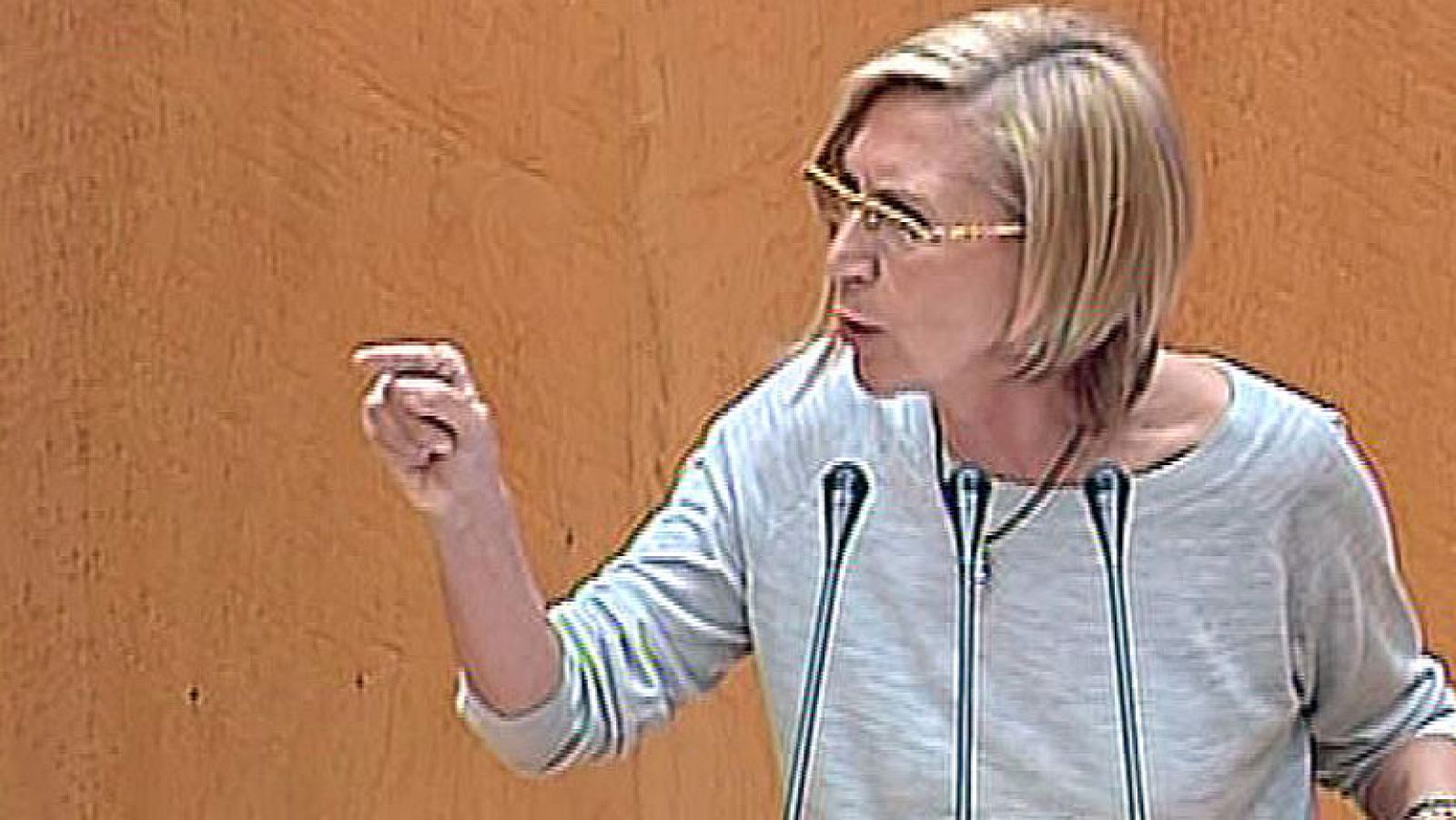 Rosa Díez: "Le sometemos a una rotunda censura política"