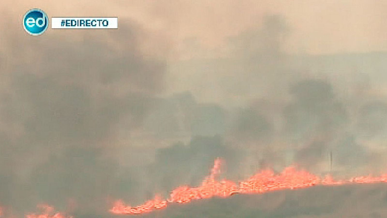España Directo- Un guardia civil, detenido como presunto autor de 19 incendios