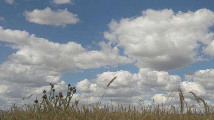 El tiempo - Intervalos de viento fuerte en Canarias