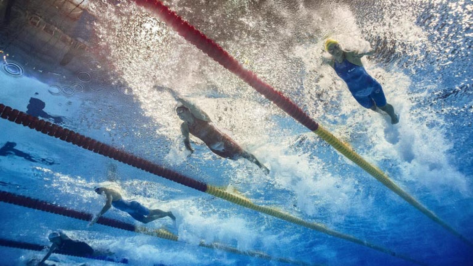 Mundiales de Natación de Barcelona. Sesión clasificatoria del 03/08/2013