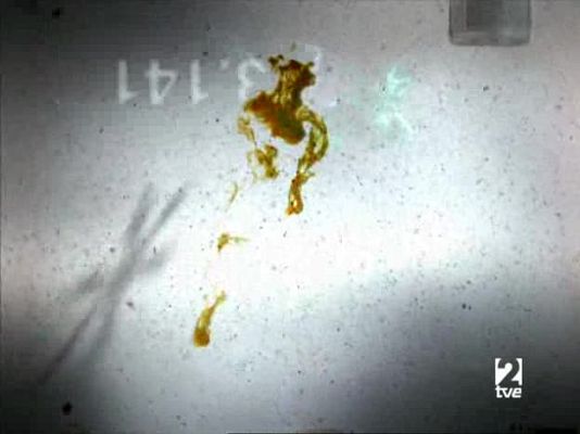 tres14 - Canibalismo