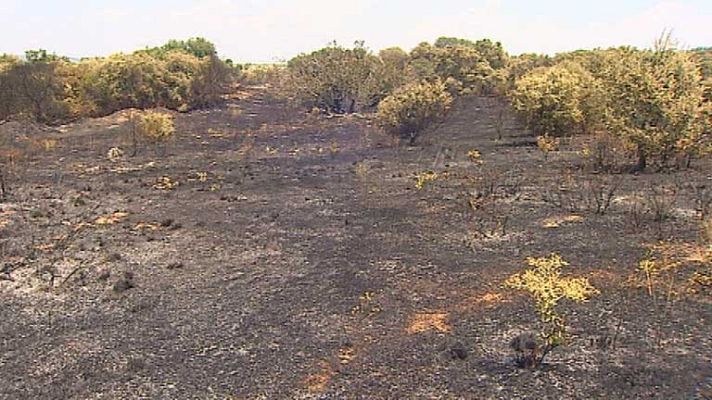 Informativo de Madrid - Informativo de Madrid 2 - 05/08/13