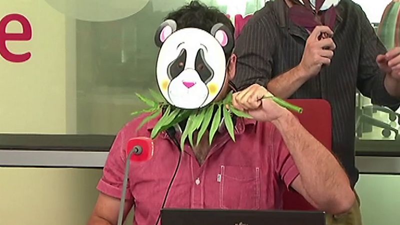 Hoy empieza todo en Radio Nacional - Nos quedamos con cara de oso panda - Hoy empieza todo en Radio Nacional | Ver