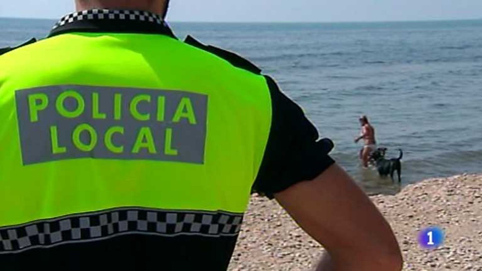 L'Informatiu - Comunitat Valenciana - 07/08/13 - Ver ahora