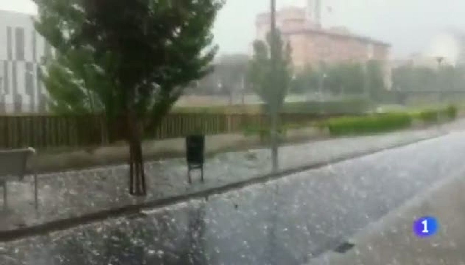 Noticias Aragón - 07/08/13 | Ver