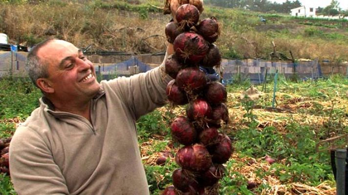Comando Actualidad - San Cristóbal de la Laguna