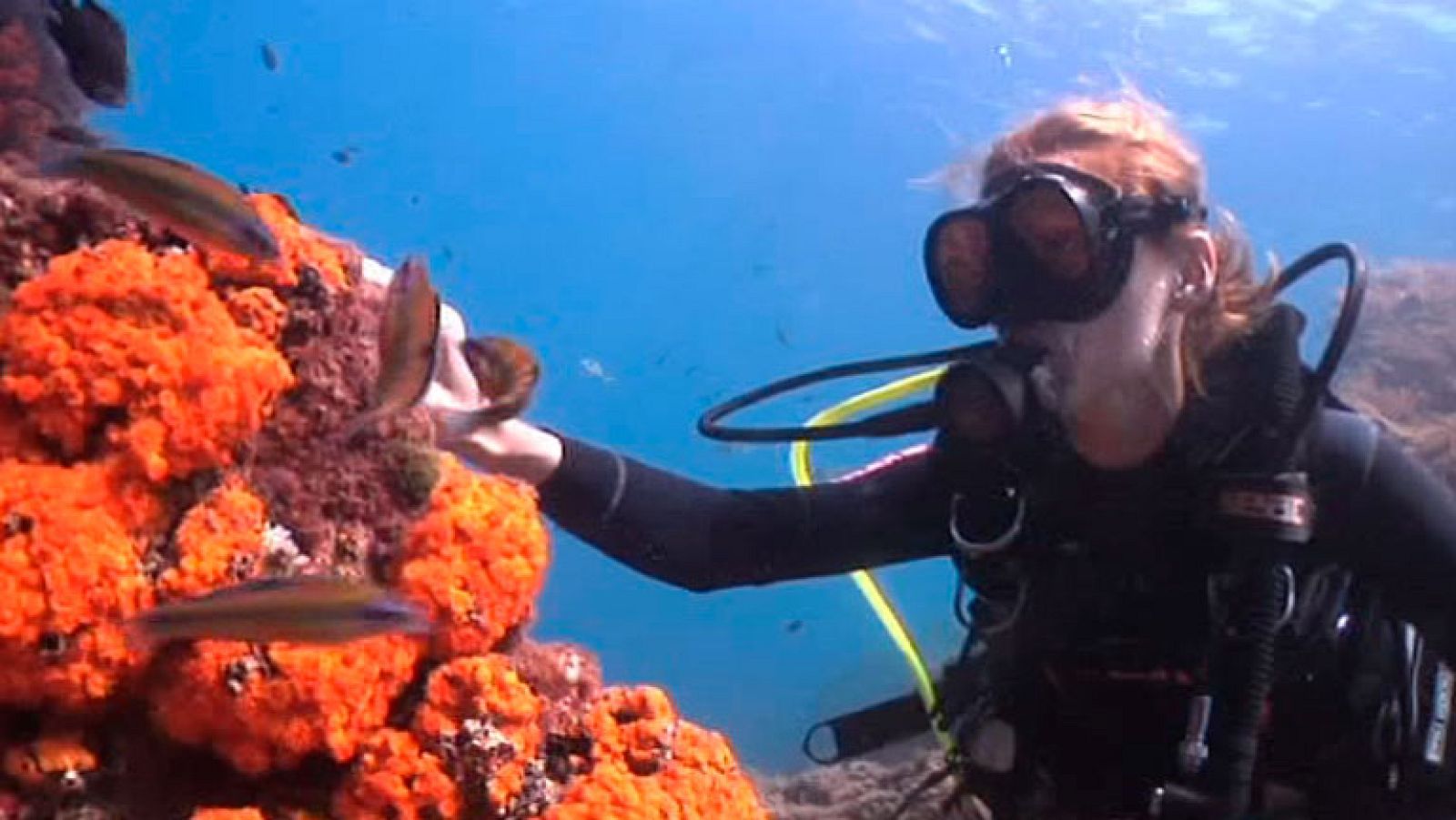 España Directo- Nos sumergimos en el litoral de Granada
