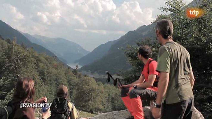 Evasión - T1 - Programa nº 11