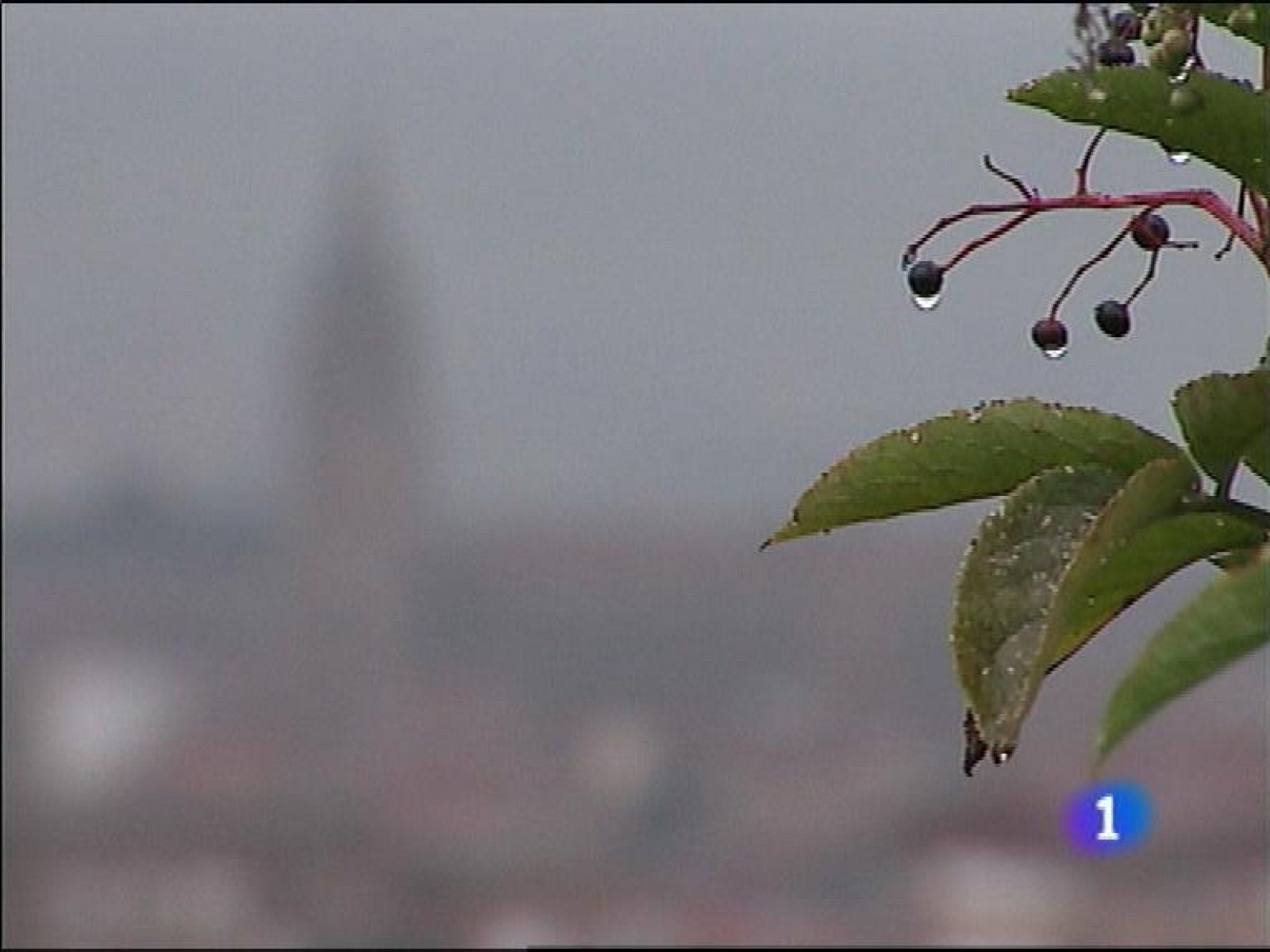 El tiempo en Asturias - 12/08/13 | Ver