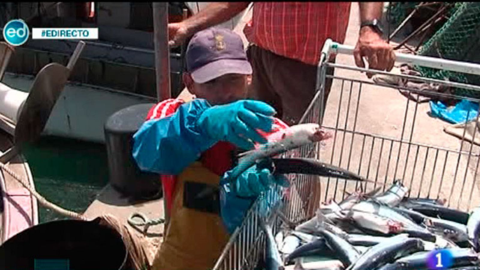 España Directo- Setenta bloques de hormigón impiden faenar a los pescadores