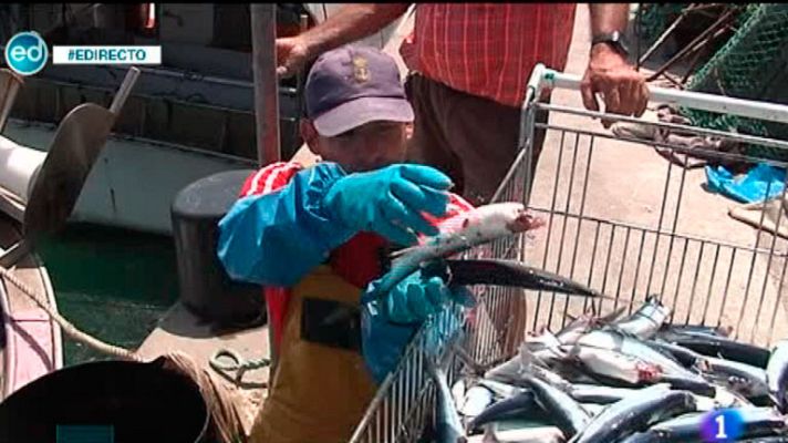 España Directo - Bloques de hormigón impiden faenar