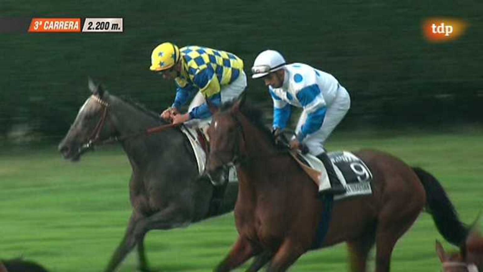 Turf - 12/08/13 - ver ahora