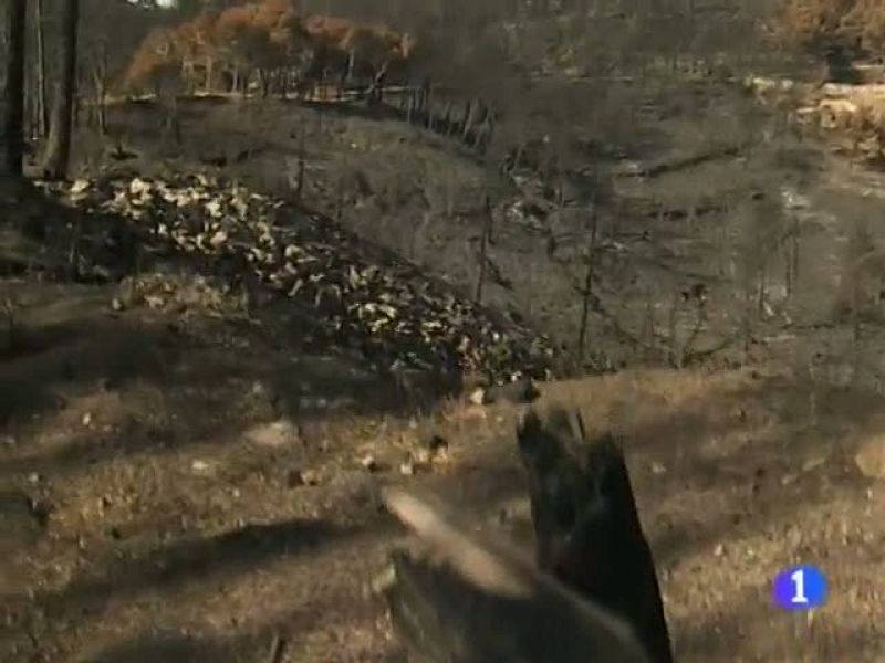 Informatiu Balear 2 - 13/08/13 | Ver