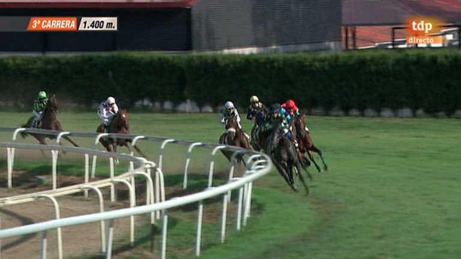 Turf - 18/08/13 - ver ahora