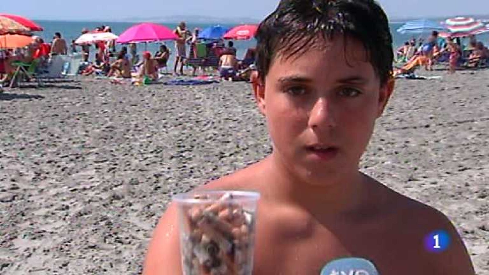 L'Informatiu - Comunitat Valenciana - 19/08/13 - Ver ahora