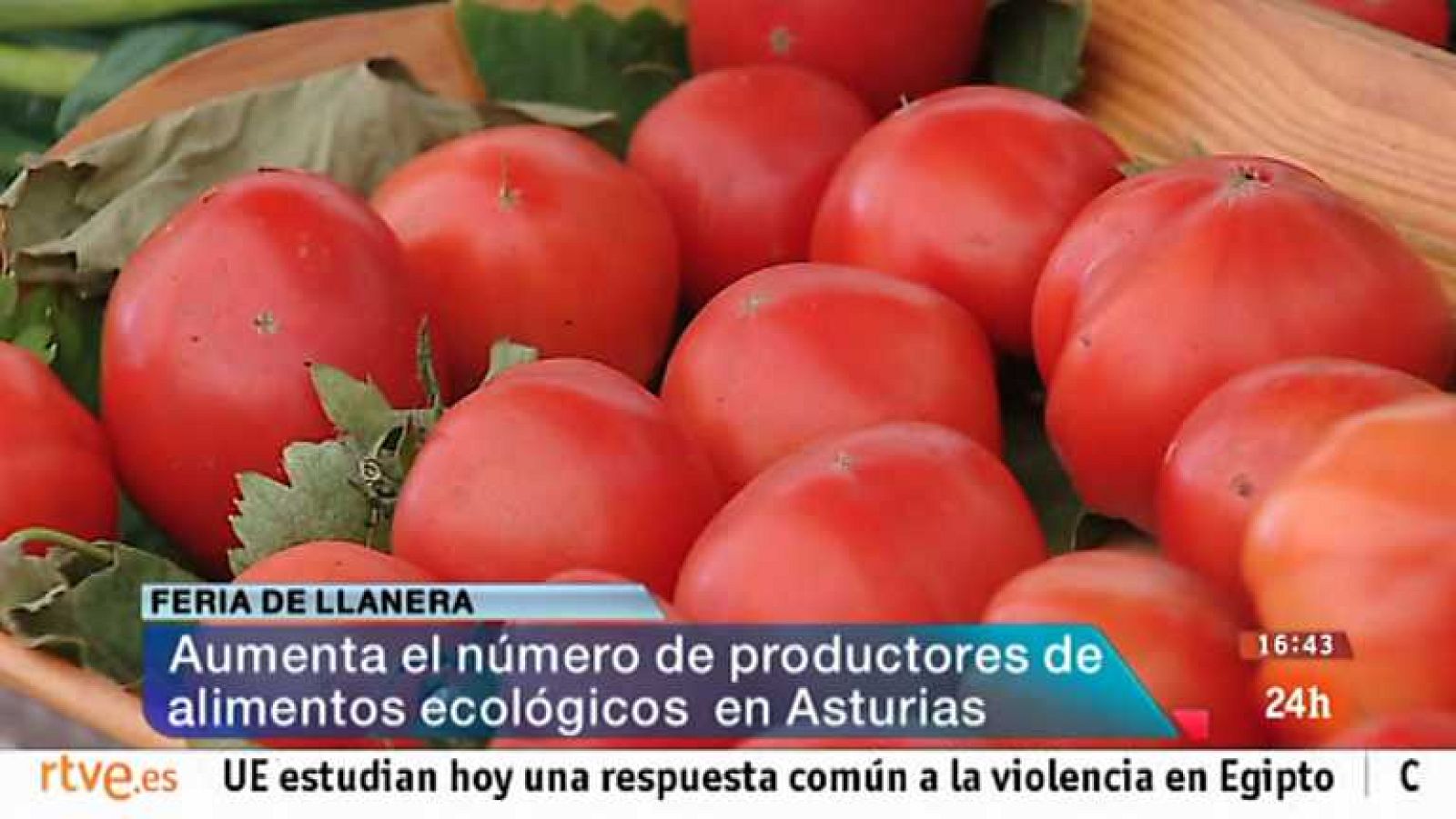 España en 24 horas - 19/08/13 - Ver ahora