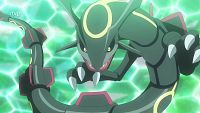 Guided by the black Rayquaza!