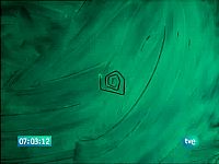 Leonart- Ramón y Cajal