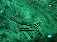 Leonart - Viajes y salud