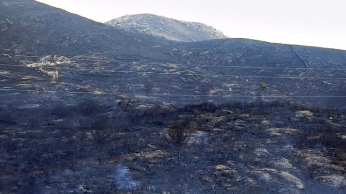 Informativo 24h - Incendio Mallorca