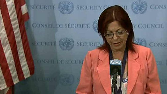 Informativo 24h - El Consejo de Seguridad de la ONU pide "claridad" sobre el uso de armas químicas en Siria