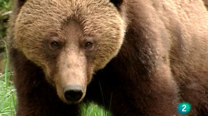 Otros pueblos - Columbia británica