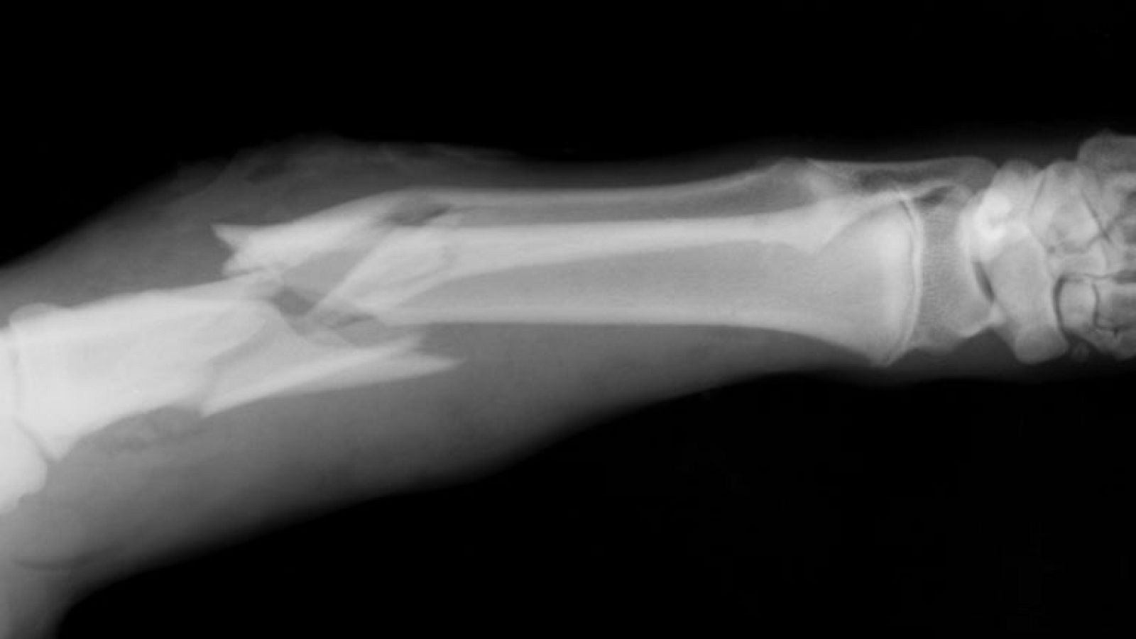 Saber vivir - 22/08/13 - Ver ahora