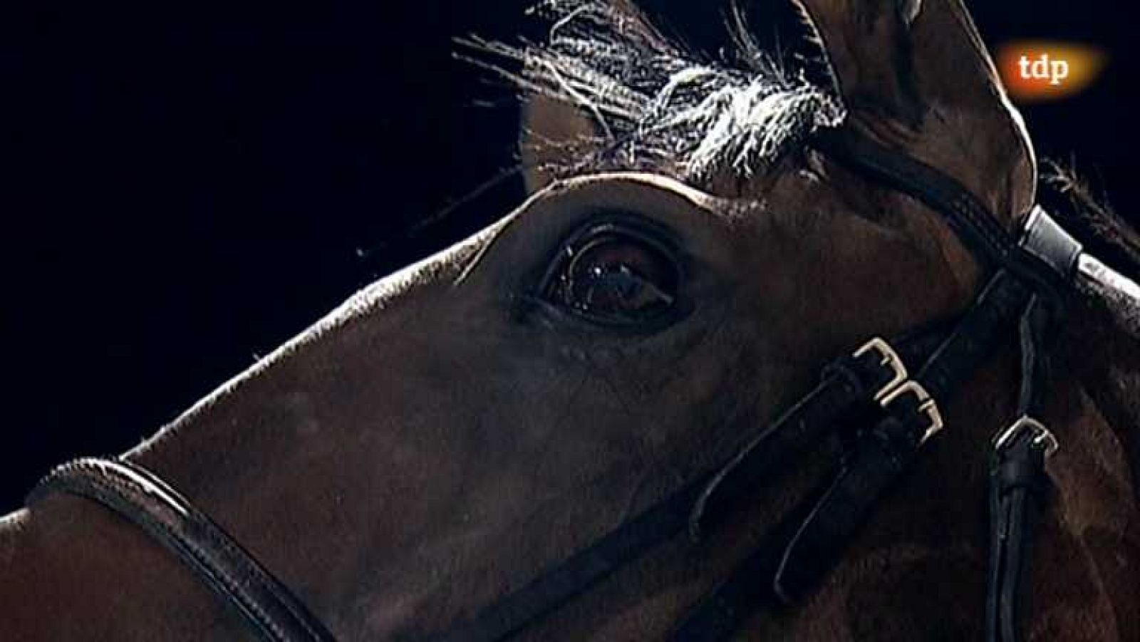 Turf - 22/08/13 - Ver ahora