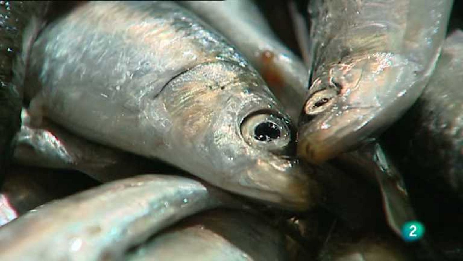 España en comunidad - Dieta mediterránea - ver ahora