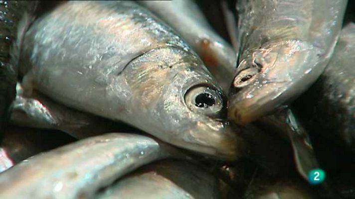 España en comunidad - Dieta mediterránea