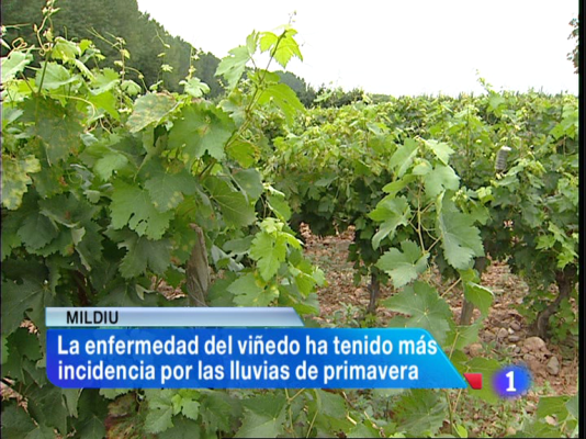 Informativo Telerioja - Telerioja en 2' - 26/08/13