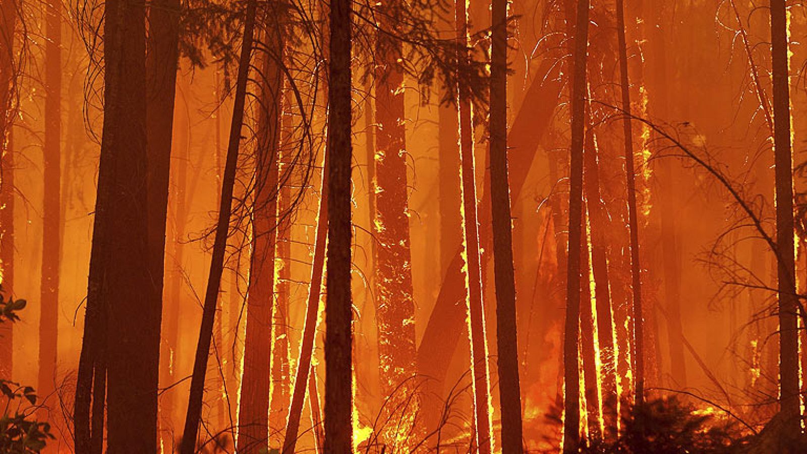 El fuego de California ya tiene  el tamaño de la ciudad de Chicago | Ver