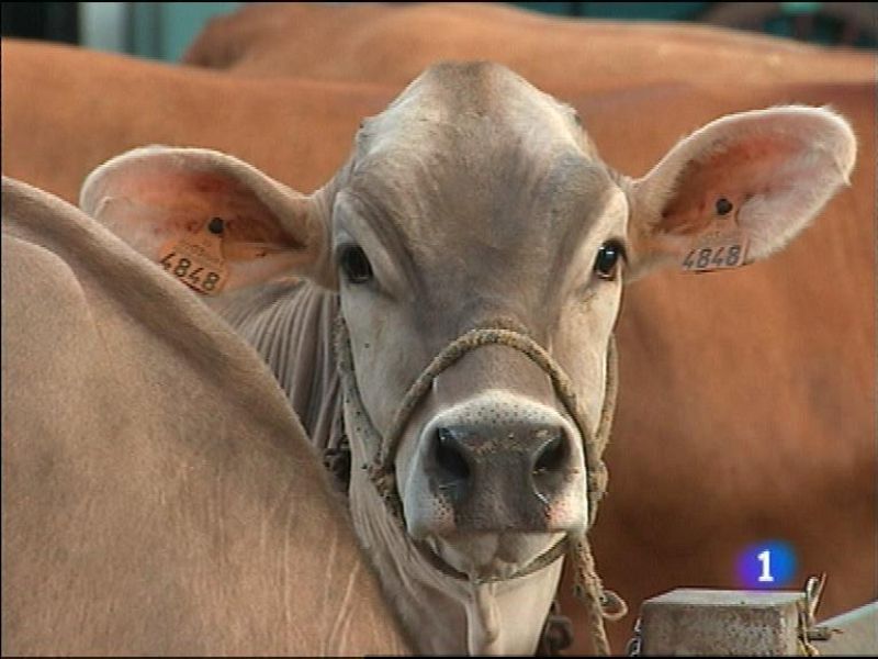 Panorama Regional 2 - 27/08/13 | Ver