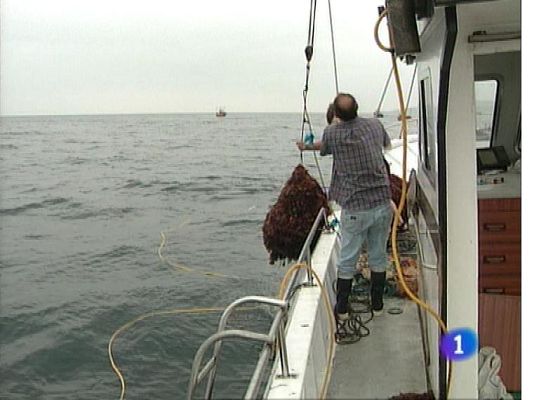 Panorama Regional - Asturias en 2' - 29/08/13
